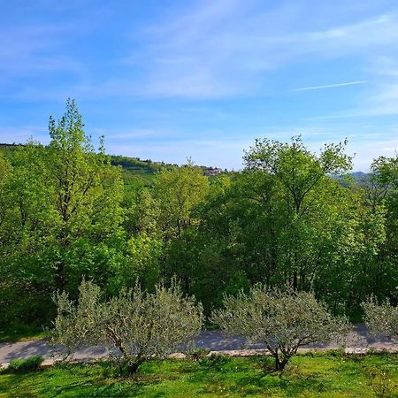 Apartma Lavanda Kojsko Zewnętrze zdjęcie