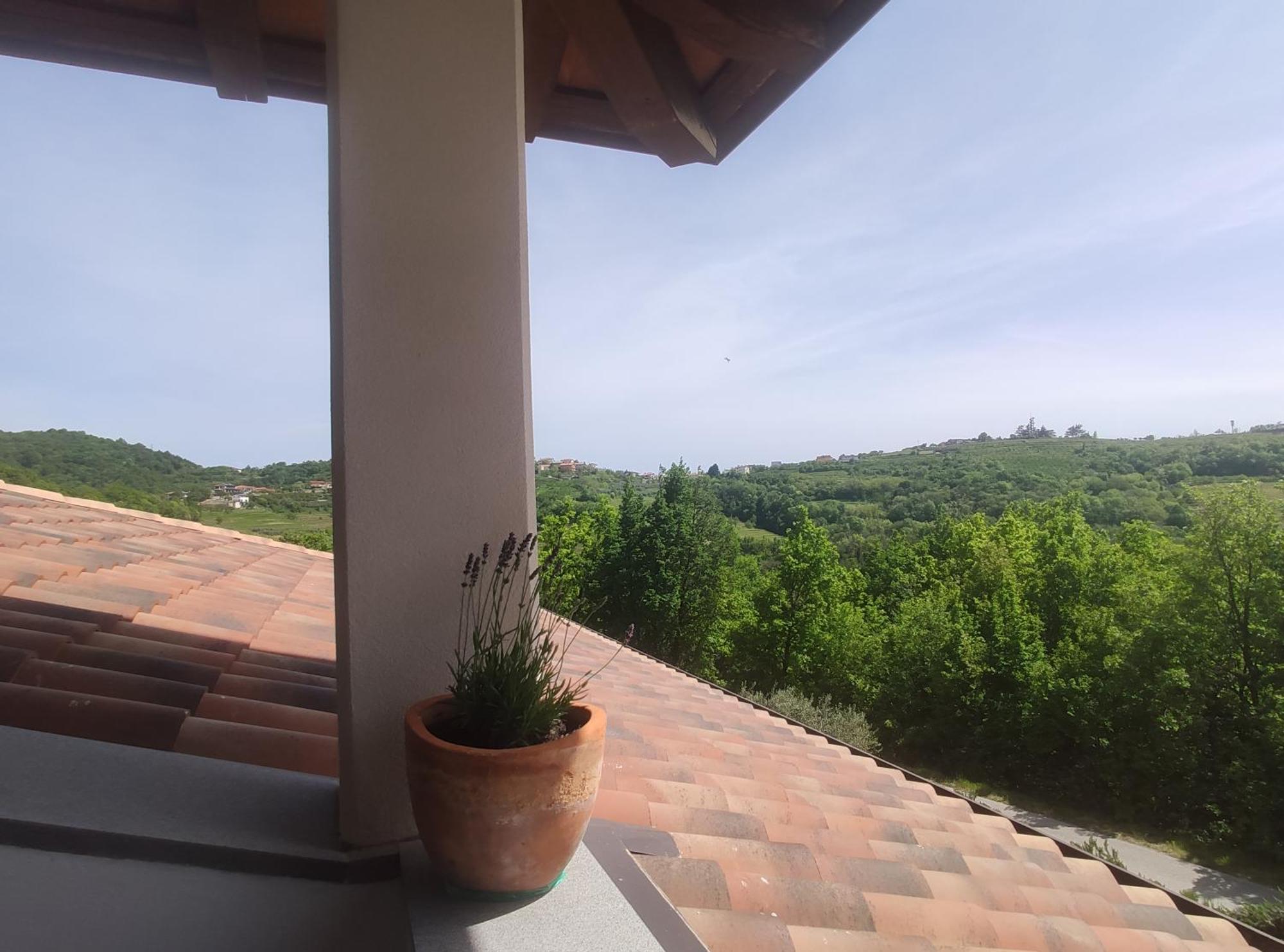 Apartma Lavanda Kojsko Zewnętrze zdjęcie