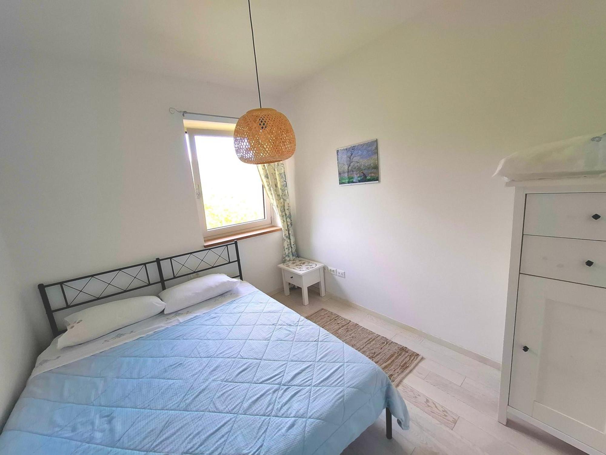 Apartma Lavanda Kojsko Zewnętrze zdjęcie